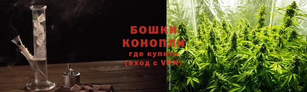 шишки Белокуриха