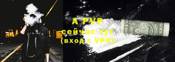 шишки Белокуриха