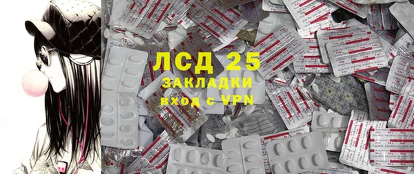 шишки Белокуриха