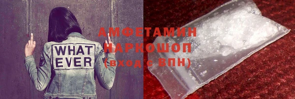 шишки Белокуриха