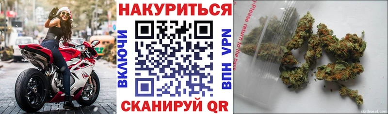 купить   Кущёвская  Конопля AK-47 